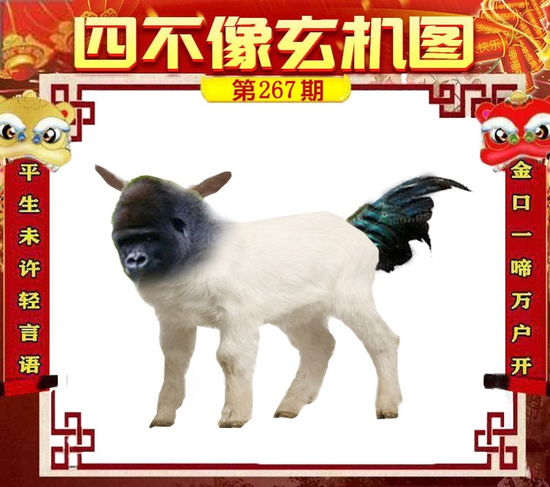 财神手机站