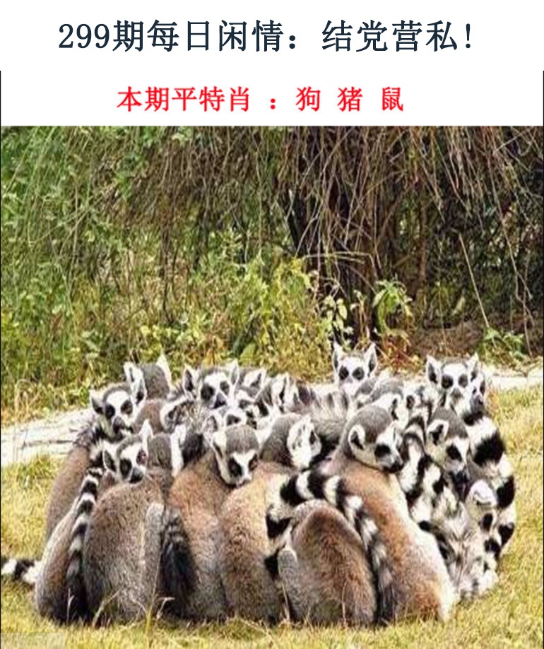 黄大仙手机站